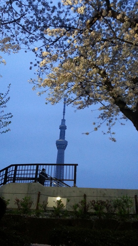 20130330_180640.jpg
